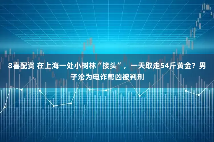 8喜配资 在上海一处小树林“接头”,一天取走54斤黄金?男子沦为电诈帮凶被判刑